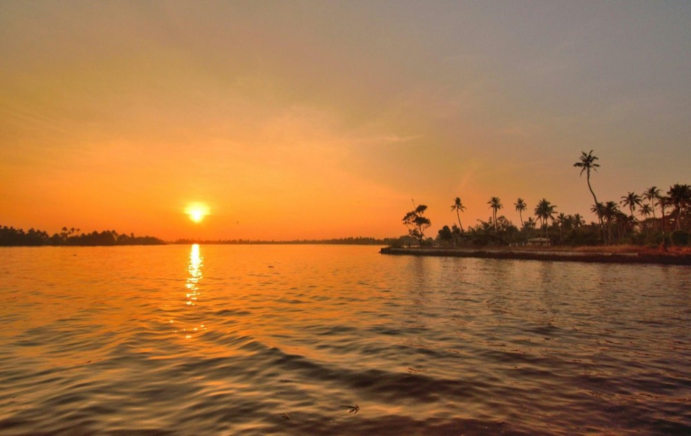 Sunset over the Alleppey backwaters with coconut palms on the shore